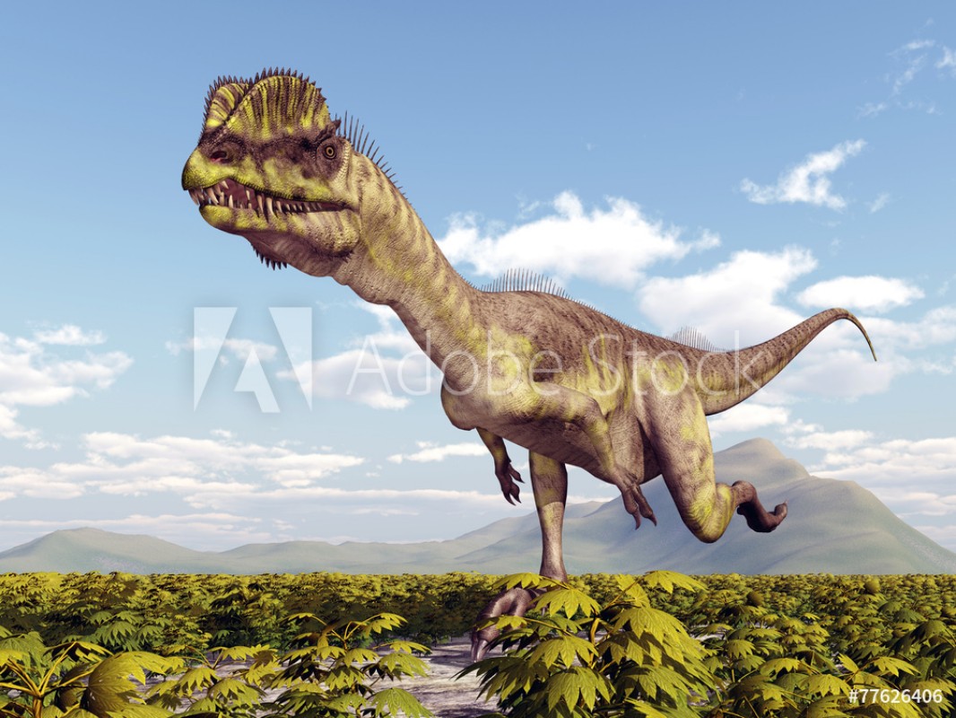 Afbeeldingen van Dinosaur Dilophosaurus